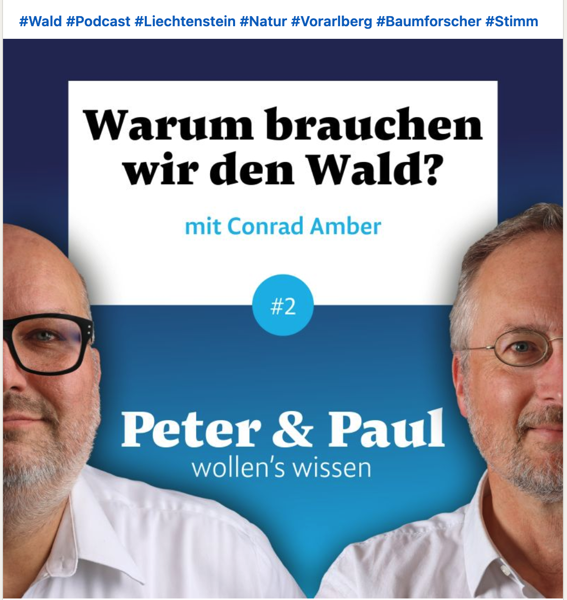 PODCAST INTERVIEW : Warum brauchen wir den Wald – bei PETER UND PAUL WOLLENS WISSEN 26.6.2024